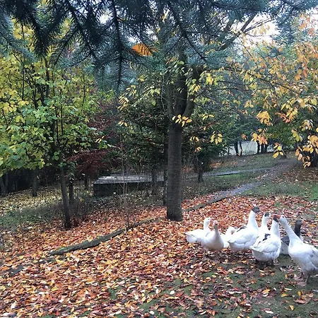 Отель Kartaltepe Boutique 3*