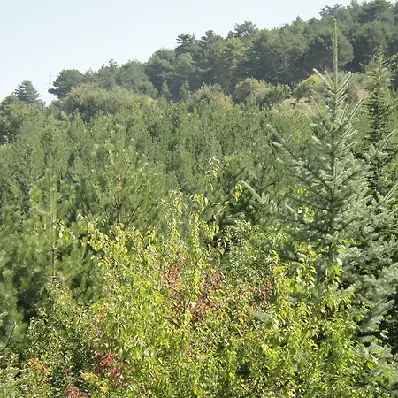 Kartaltepe Boutique 3*