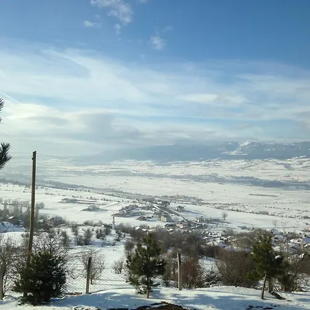 Отель Kartaltepe Boutique Saraycik